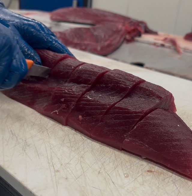 San Diego Fish Processing